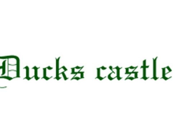 Cerveza Artesana Ducks Castle