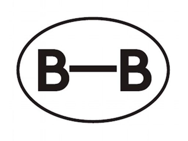 Cerveza Artesana Barna Brew