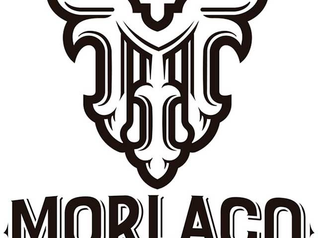 Cerveza Artesana Morlaco Beer