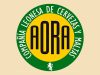 Aora