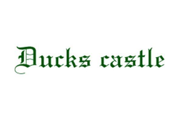 Cerveza Artesana Ducks Castle