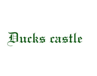 Ducks Castle