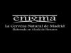 Cerveza Artesana Enigma