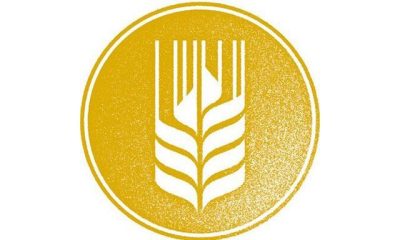 Cerveza Artesana Espiga