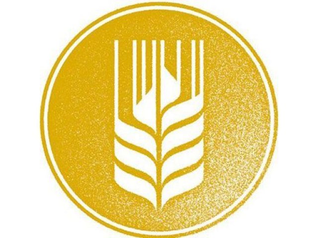 Cerveza Artesana Espiga