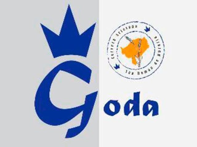 Cerveza Artesana Goda