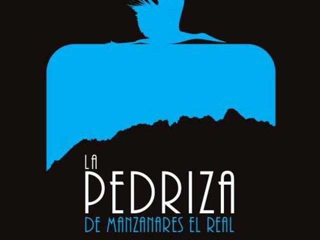 Cerveza Artesana La Pedriza