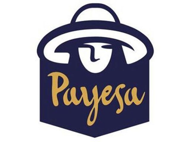 Cerveza Artesana Payesa