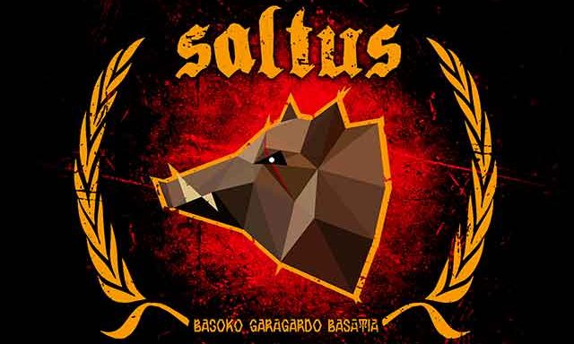 Cerveza Artesana Saltus