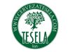 Tesela