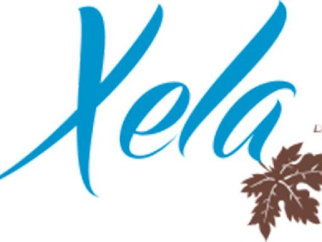 Cerveza Artesana Xela