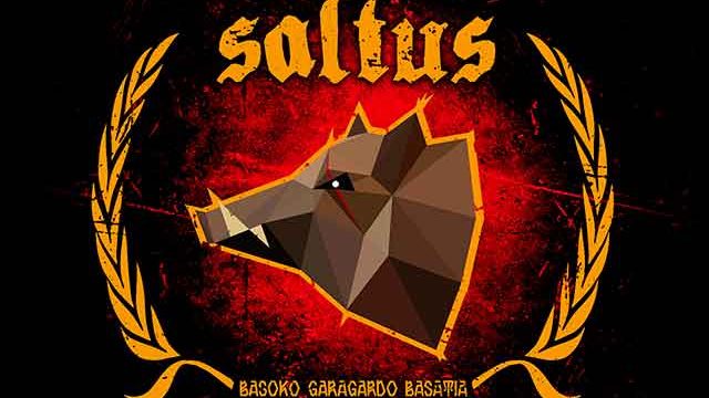 Cerveza Artesana Saltus