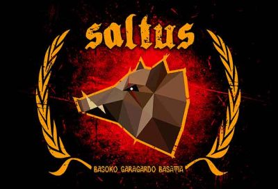 Cerveza Artesana Saltus