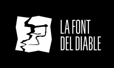 Cerveza Artesana La Font del Diable