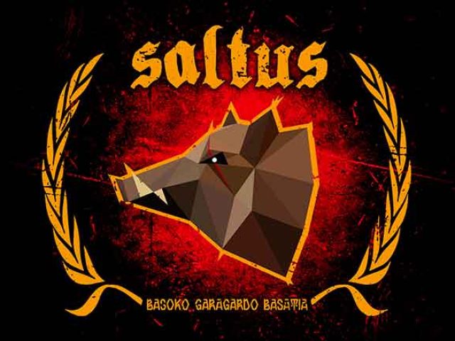 Cerveza Artesana Saltus